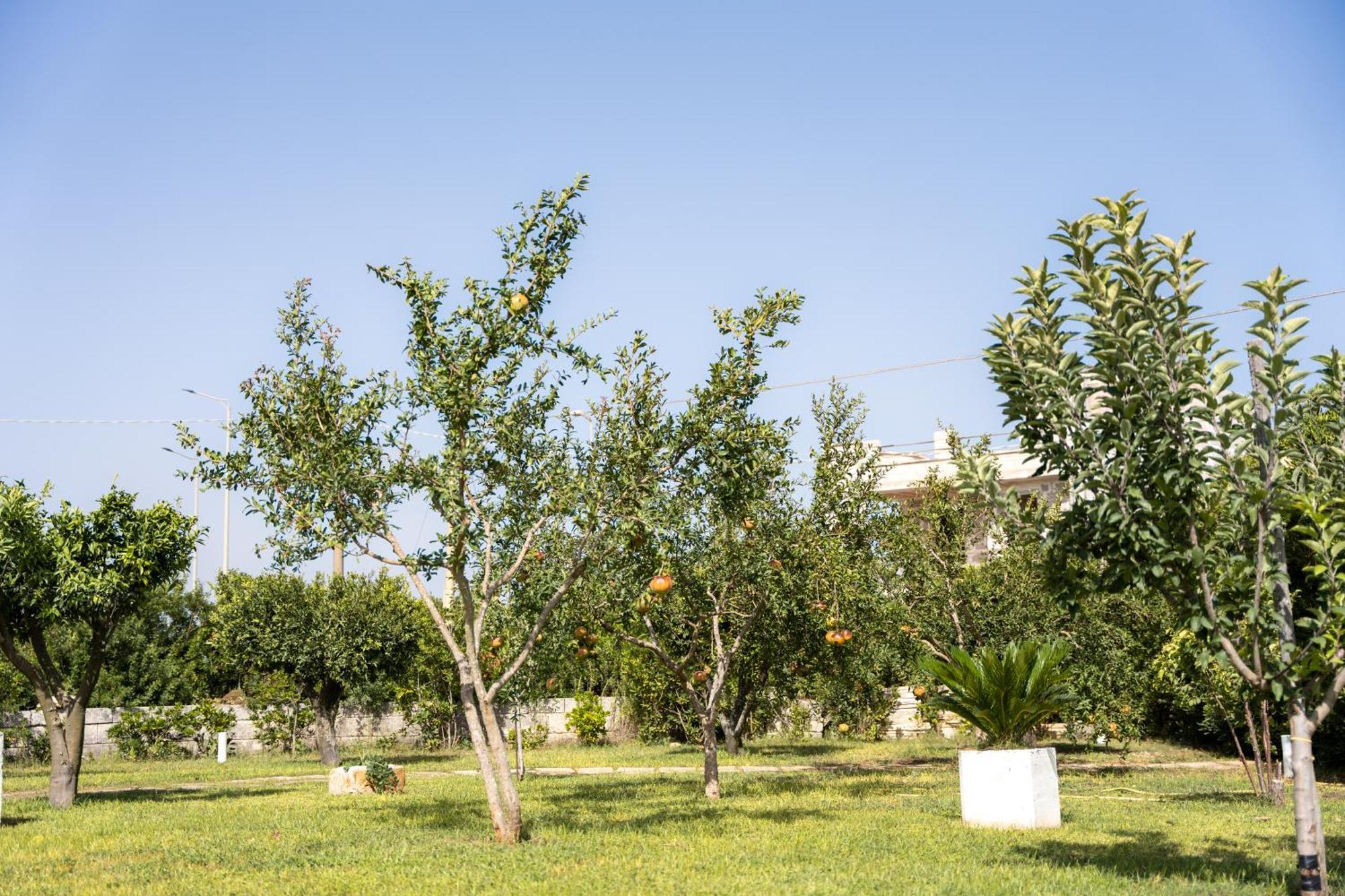 Murieri Rooms Otranto Luaran gambar